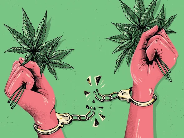 Should Medical Marijuana Have Been Legalized?