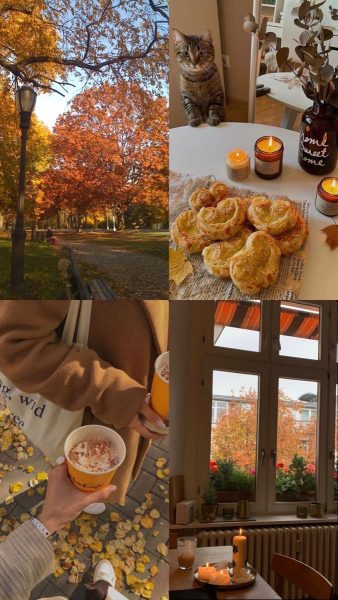 Getting into the Autumn Aesthetic