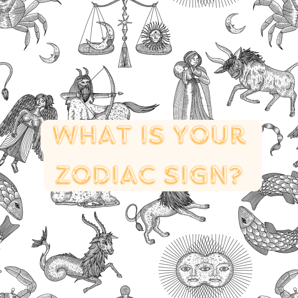 What is Your Zodiac Sign?